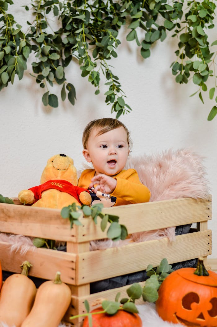 services-03 Cute baby sitting in a wooden crate with pumpkins and plush toy, decorated for Halloween.