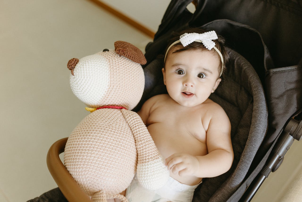 who-we-are Adorable baby in a stroller holding a knitted toy dog. Perfect for family themes.